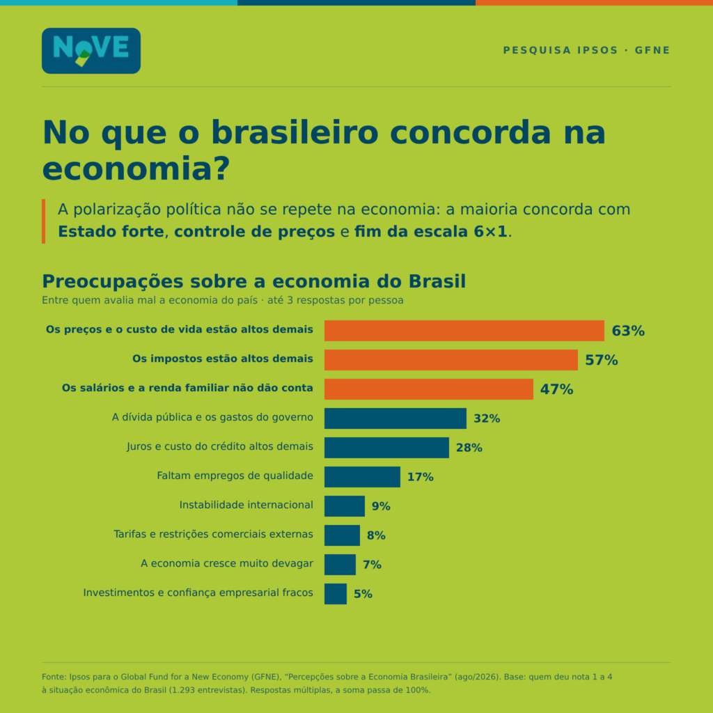 Arte resume os principais dados da pesquisa IPSOS